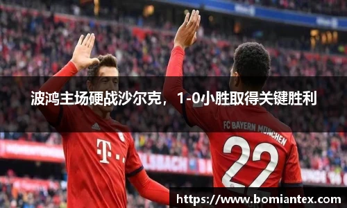 波鸿主场硬战沙尔克，1-0小胜取得关键胜利