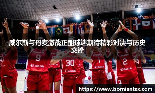 威尔斯与丹麦激战正酣球迷期待精彩对决与历史交锋