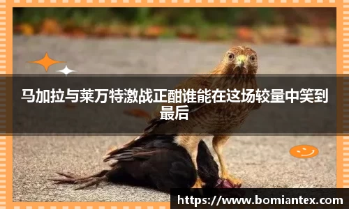 平博pinnacle体育官网